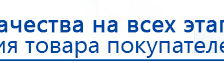 Дэнас Орто купить в Пензе, Аппараты Дэнас купить в Пензе, Дэнас официальный сайт denasolm.ru